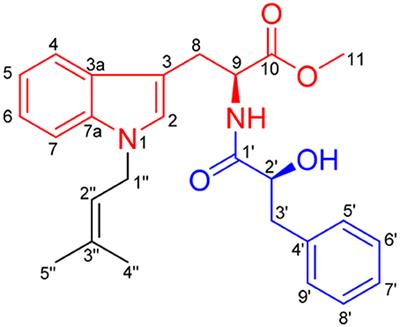 Isolation and Synthesis of Misszrtine A: A Novel Indole Alkaloid From Marine Sponge-Associated Aspergillus sp. SCSIO XWS03F03